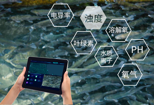 智慧水產養殖